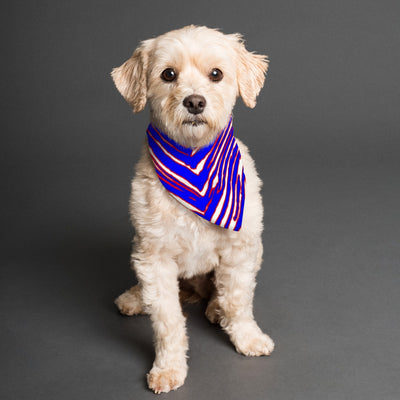 Bufanda para mascota con estampado de cebra de los Buffalo Bills de fútbol americano de la NFL