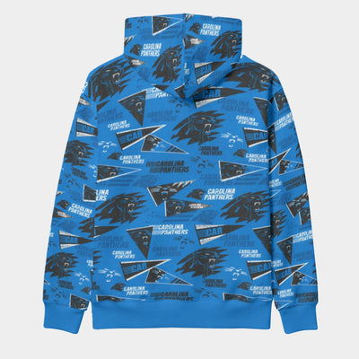 Carolina Panthers Classic Pullover Hoodie for Comfortable Everyday Wear